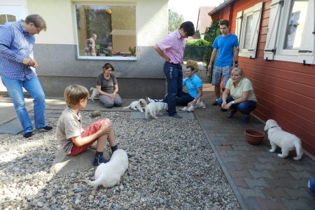 Dscn0725.jpg (45174 Byte)