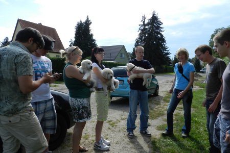 Dscn1152.jpg (36256 Byte)