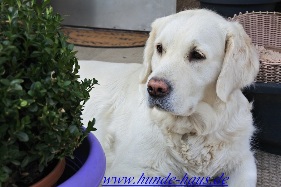 Omara huendin.jpg (124035 Byte)