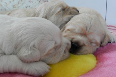 Dscn1614.jpg (21631 Byte)