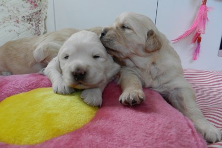 Dscn1630.jpg (25018 Byte)
