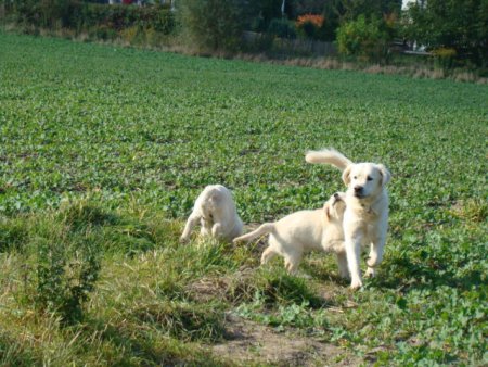 Dsc03570.jpg (53804 Byte)