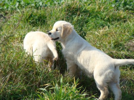 Dsc03574.jpg (50071 Byte)