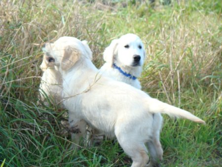 Dsc03579.jpg (40588 Byte)