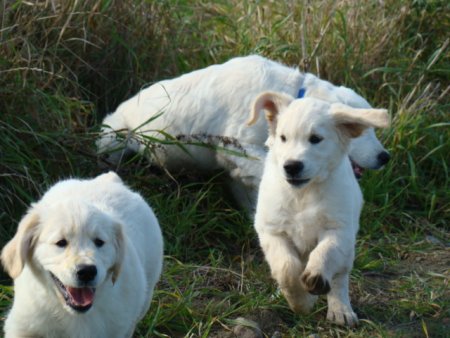 Dsc03580.jpg (39287 Byte)