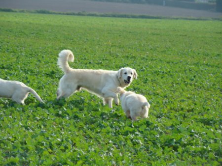 Dsc03581.jpg (42785 Byte)