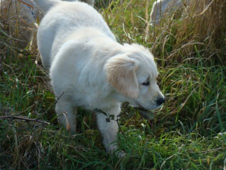 Dsc03584.jpg (42049 Byte)