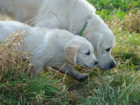 Dsc03585.jpg (36107 Byte)