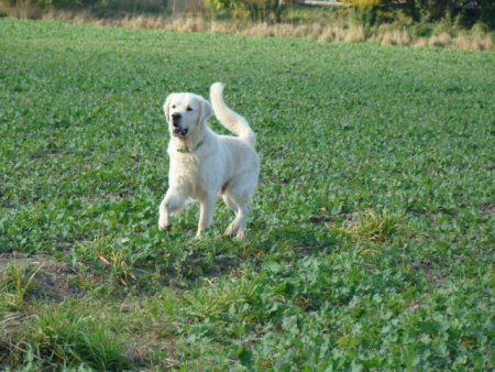 Dsc03587.jpg (50556 Byte)