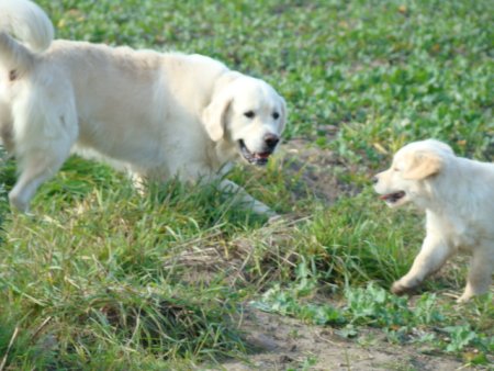 Dsc03588.jpg (41984 Byte)