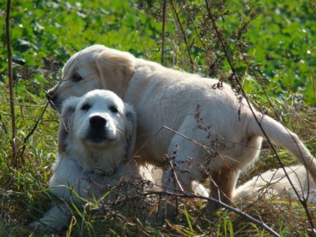 Dsc03590.jpg (48789 Byte)