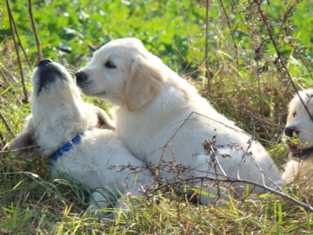 Dsc03591.jpg (49040 Byte)