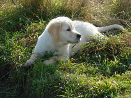 Dsc03599.jpg (55072 Byte)