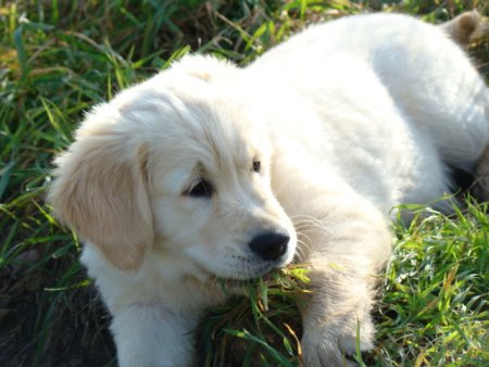 Dsc03603.jpg (35194 Byte)