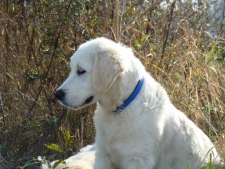 Dsc03607.jpg (46327 Byte)