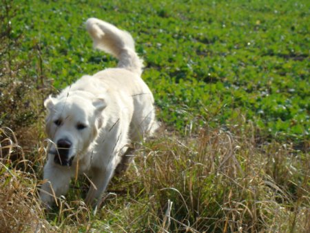 Dsc03612.jpg (47801 Byte)