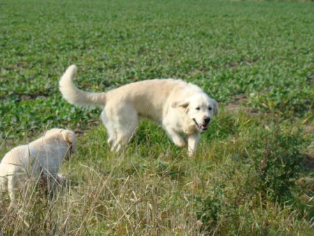 Dsc03613.jpg (45588 Byte)