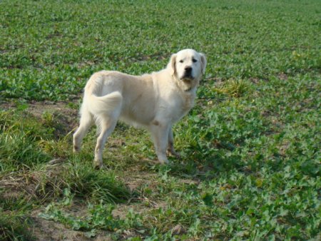 Dsc03616.jpg (52661 Byte)