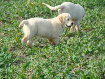 Dsc03619.jpg (49309 Byte)