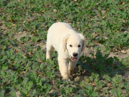 Dsc03622.jpg (49896 Byte)