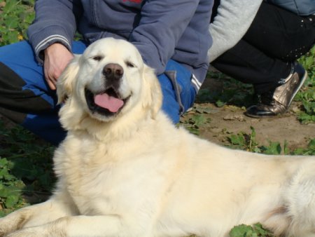 Dsc03635.jpg (30576 Byte)