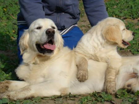 Dsc03643.jpg (33516 Byte)