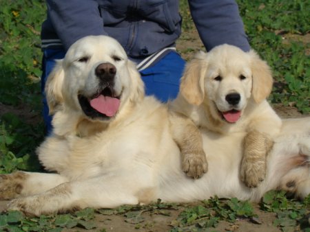 Dsc03644.jpg (33793 Byte)