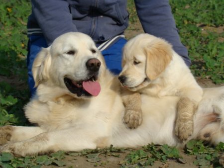 Dsc03646.jpg (32876 Byte)