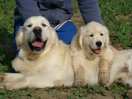 Dsc03648.jpg (33760 Byte)