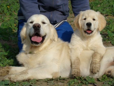 Dsc03649.jpg (32791 Byte)