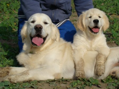 Dsc03650.jpg (32957 Byte)