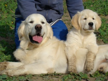 Dsc03652.jpg (33250 Byte)