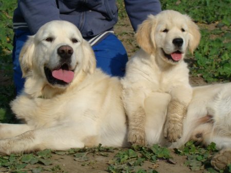 Dsc02385.jpg (32369 Byte)