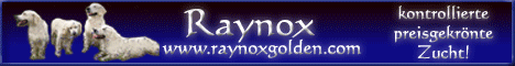 banner sch.bmp (101070 Byte)